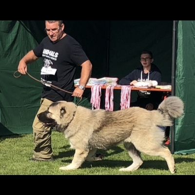 NDS GORZÓW WIELKOPOLSKI'18 - BALDUR