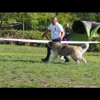 KWM WARSZAWA'19 - BALDUR