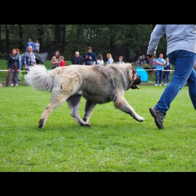 IDS WROCŁAW'2019 - MIMIR, CWC