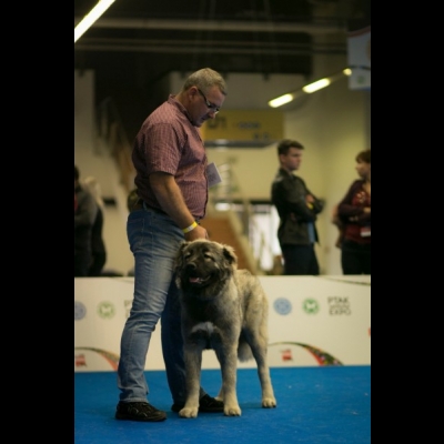 EDS WARSZAWA'18 - MARA