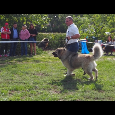 KWM WARSZAWA'19 - BALDUR