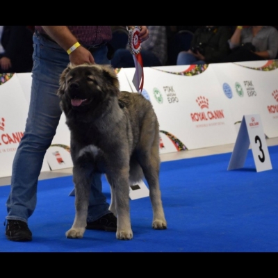 EDS WARSZAWA'18 - MARA