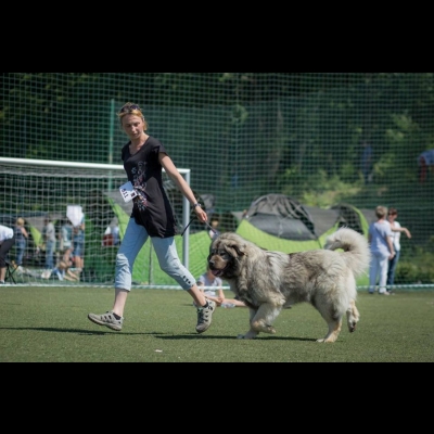 IDS ŁÓDŹ'18 - BAGIRA