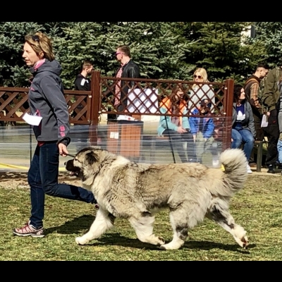 NDS ZIELONA GÓRA'19 - BAGIRA