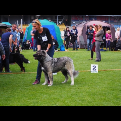 NDS GORZÓW WLKP.'19 - MARA