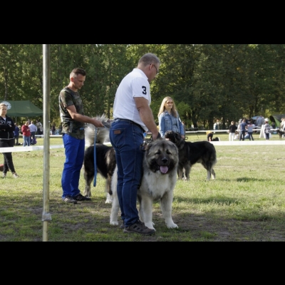 KWM WARSZAWA'19 - BALDUR
