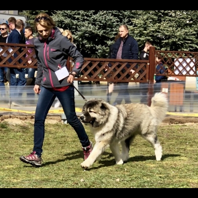 NDS ZIELONA GÓRA'19 - BAGIRA