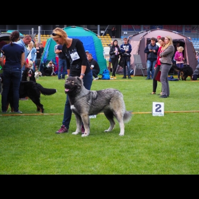 NDS GORZÓW WLKP.'19 - MARA