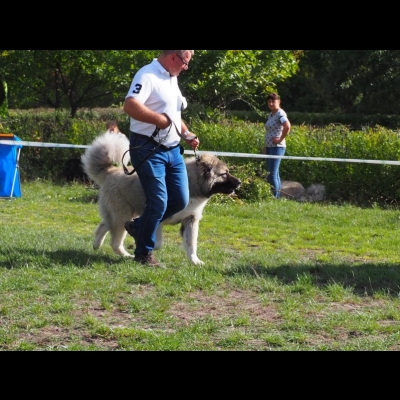KWM WARSZAWA'19 - BALDUR