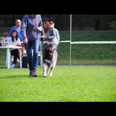 IDS WROCŁAW'2019 - MARA
