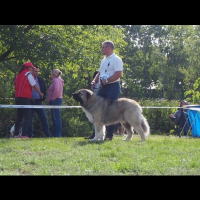 KWM WARSZAWA'19 - BALDUR