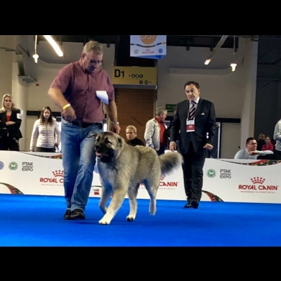 EDS WARSZAWA'18 - BALDUR