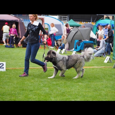 NDS GORZÓW WLKP.'19 - MARA