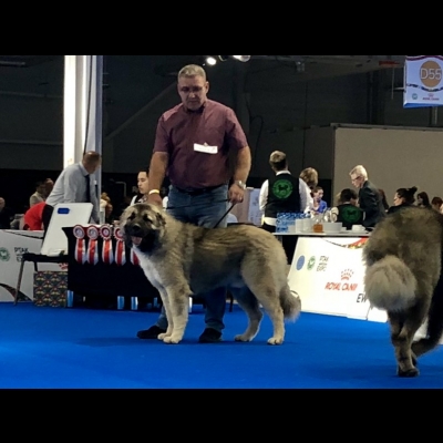 EDS WARSZAWA'18 - BALDUR