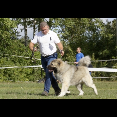 KWM WARSZAWA'19 - BALDUR