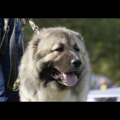 KWM WARSZAWA'19 - BALDUR