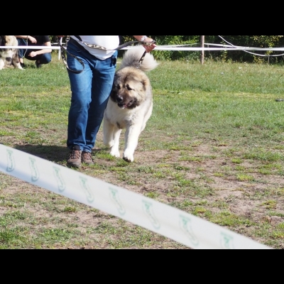 KWM WARSZAWA'19 - BALDUR