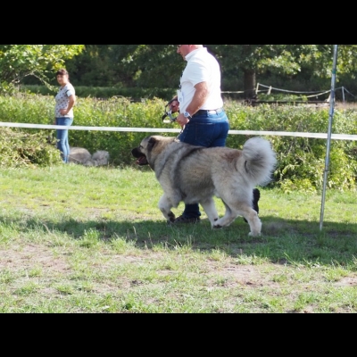 KWM WARSZAWA'19 - BALDUR