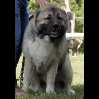 KWM WARSZAWA'19 - BALDUR