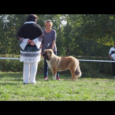 KWM WARSZAWA'19 - SULIKO