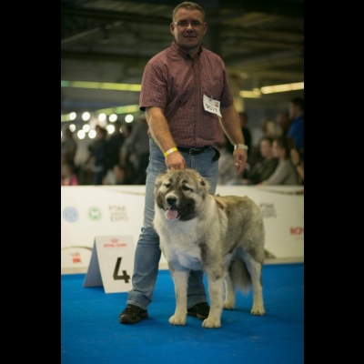 EDS WARSZAWA'18 - BAGIRA