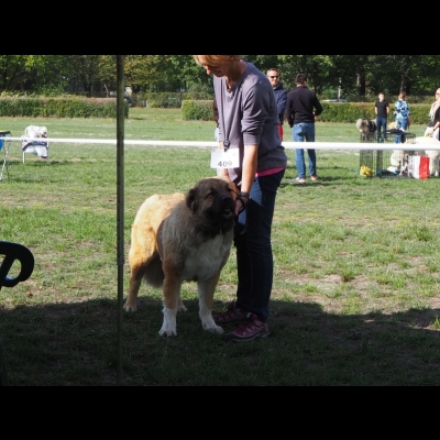 KWM WARSZAWA'19 - SULIKO