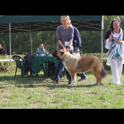 KWM WARSZAWA'19 - SULIKO