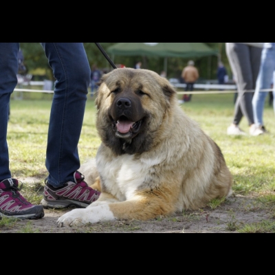 KWM WARSZAWA'19 - SULIKO