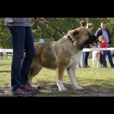 KWM WARSZAWA'19 - SULIKO