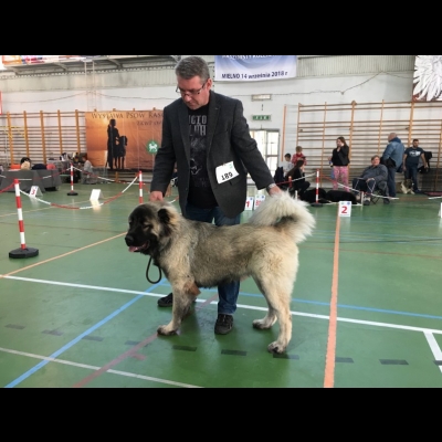 NDS MIELNO'18 - MIMIR