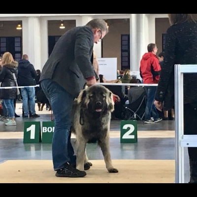 IDS POZNAŃ'18 - MIMIR