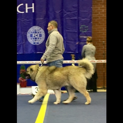 NDS GDAŃSK'19 - BALDUR