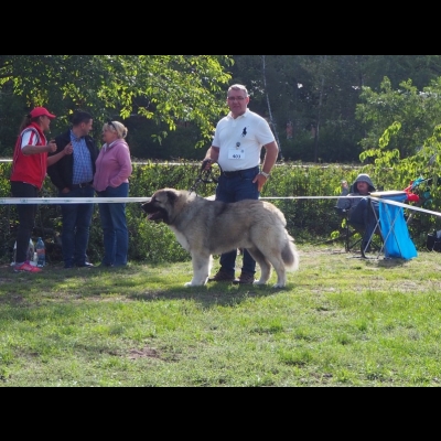 KWM WARSZAWA'19 - BALDUR