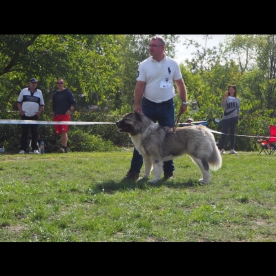 KWM WARSZAWA'19 - BAGIRA