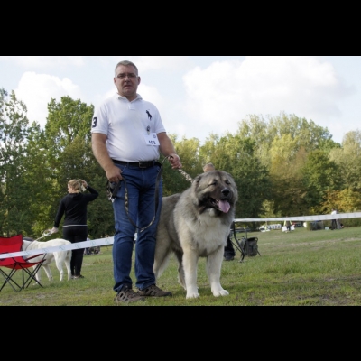 KWM WARSZAWA'19 - BALDUR