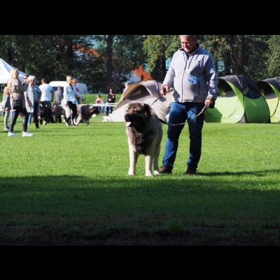 IDS WROCŁAW'2019 - MIMIR