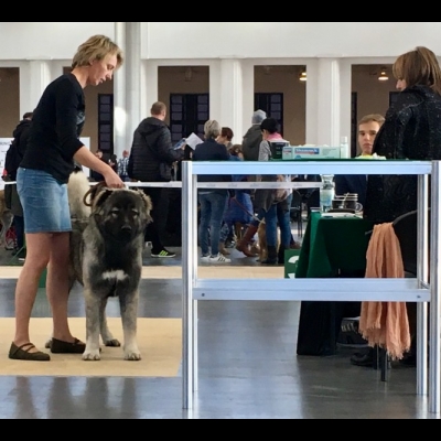 IDS POZNAŃ'18 - MARA - ZWYCIĘZCA MŁODZIEŻY