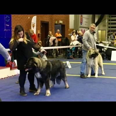 NDS GDAŃSK'19 - BALDUR