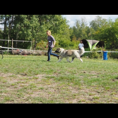 KWM WARSZAWA'19 - BAGIRA