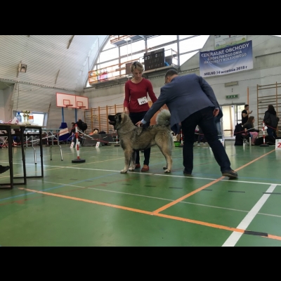 NDS MIELNO'18 - MARA - ZWYCIĘZCA MŁODZIEŻY, ZWYCIĘZCA PŁCI PRZECIWNEJ