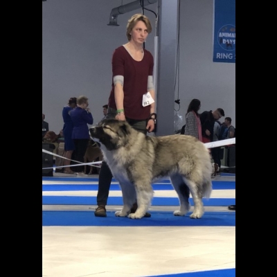 IDS WARSZAWA'19 - BAGIRA