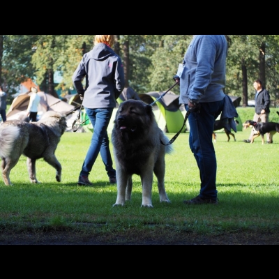 IDS WROCŁAW'2019 - MIMIR