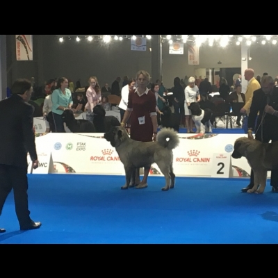 EDS WARSZAWA'18 - MINIR