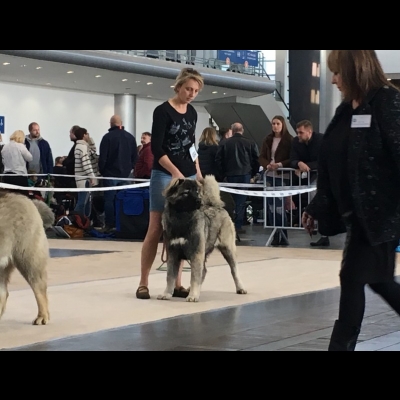 IDS POZNAŃ'18 - MARA