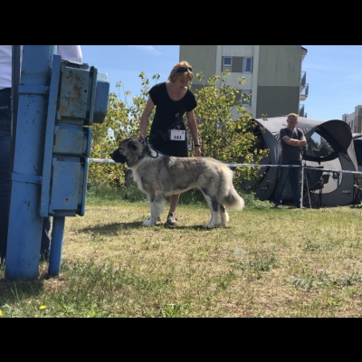 NDS USTKA'19 - BAGIRA