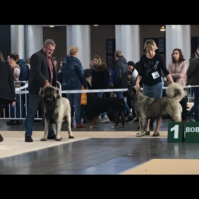 IDS POZNAŃ'18 - MIMIR i MARA