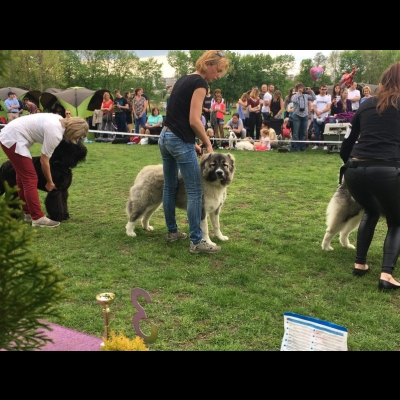 NDS DOBRE MIASTO'18 - BAGIRA