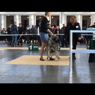 IDS POZNAŃ'18 - VALKYRIA