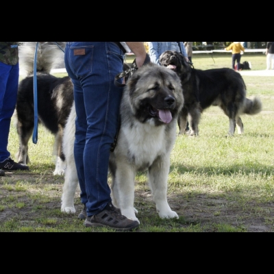 KWM WARSZAWA'19 - BALDUR