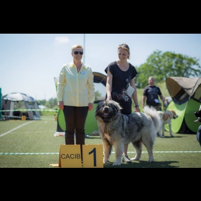 IDS ŁÓDŹ'18 - VALKYRIA
